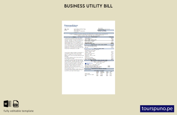 listo para imprimir la factura comercial de servicios públicos de Potomac Edison